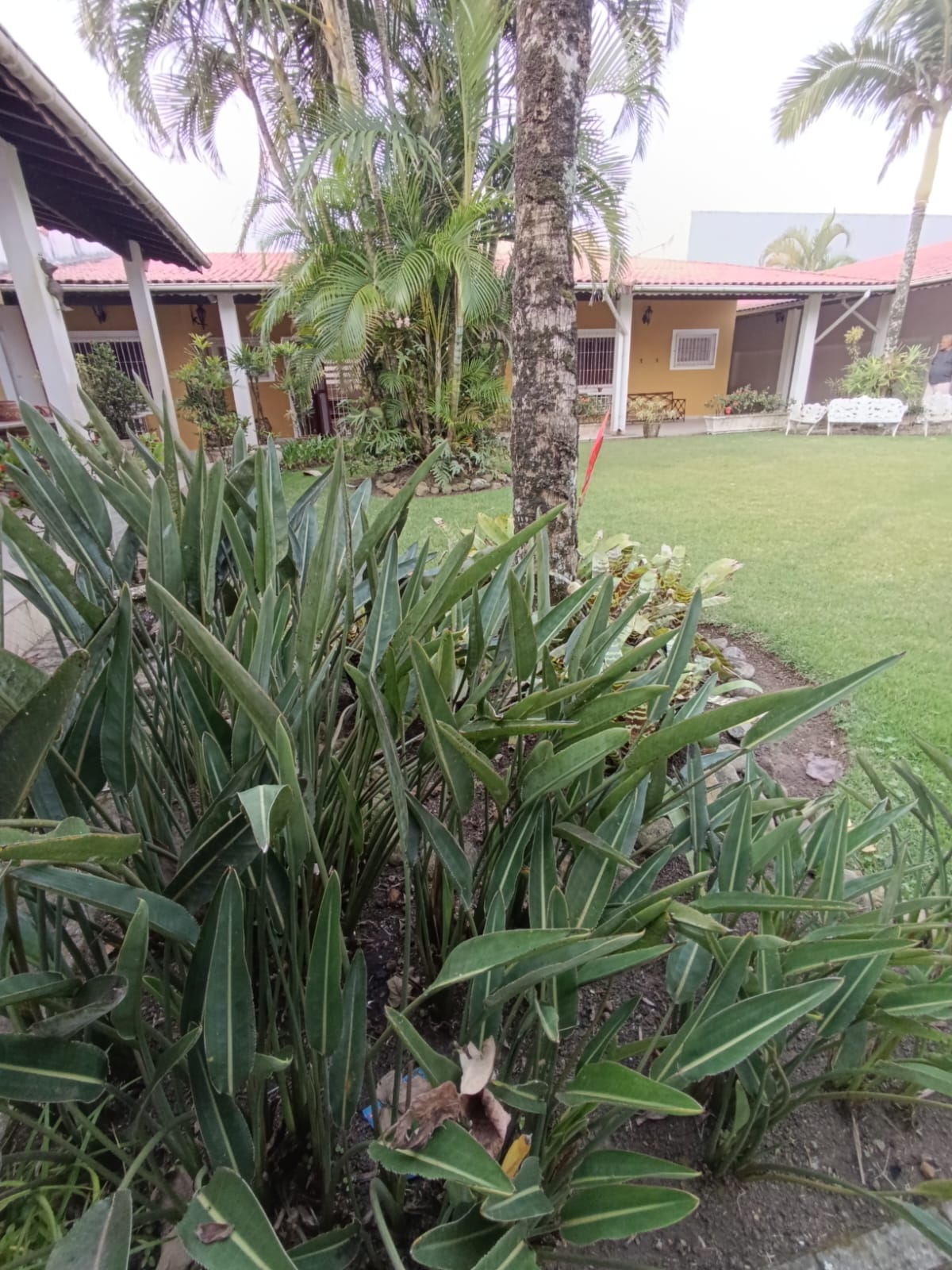 NÃO PERCA ESTA OPORTUNIDADE!!! CASA DE NOVELA PARA VENDA COM 05 DORMITORIOS NO JD SURÃO A 30 METROS DO MAR EM ITANHAÉM/S