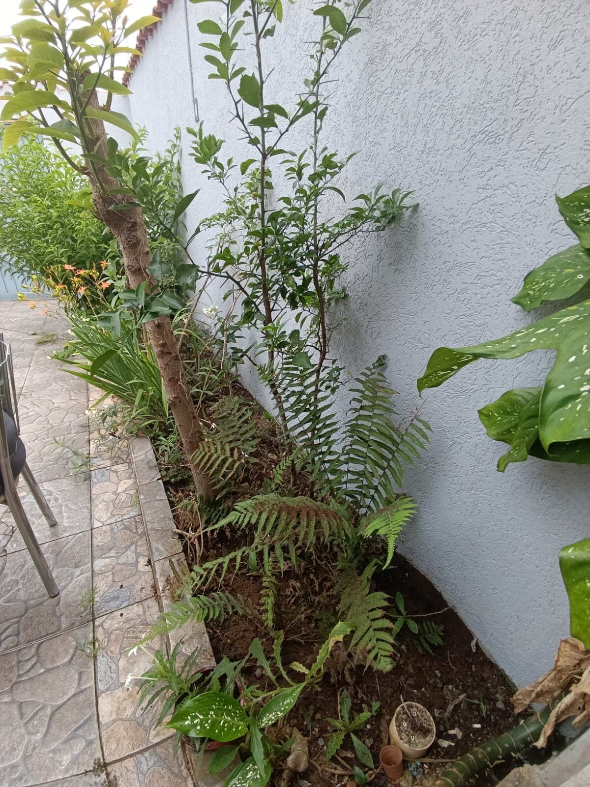 VENHA MORAR NA PRAIA!!! CASA PARA ALUGUEL  DE 04 DORMITORIOS NO CIBRATEL ,  A 200 METROS DO MAR EM ITANHAÉM/SP