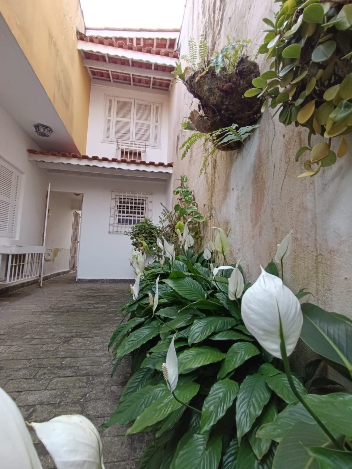 NÃO PERCA ESTA OPORTUNIDADE!!! CASA DE NOVELA PARA VENDA COM 05 DORMITORIOS NO JD SURÃO A 30 METROS DO MAR EM ITANHAÉM/S