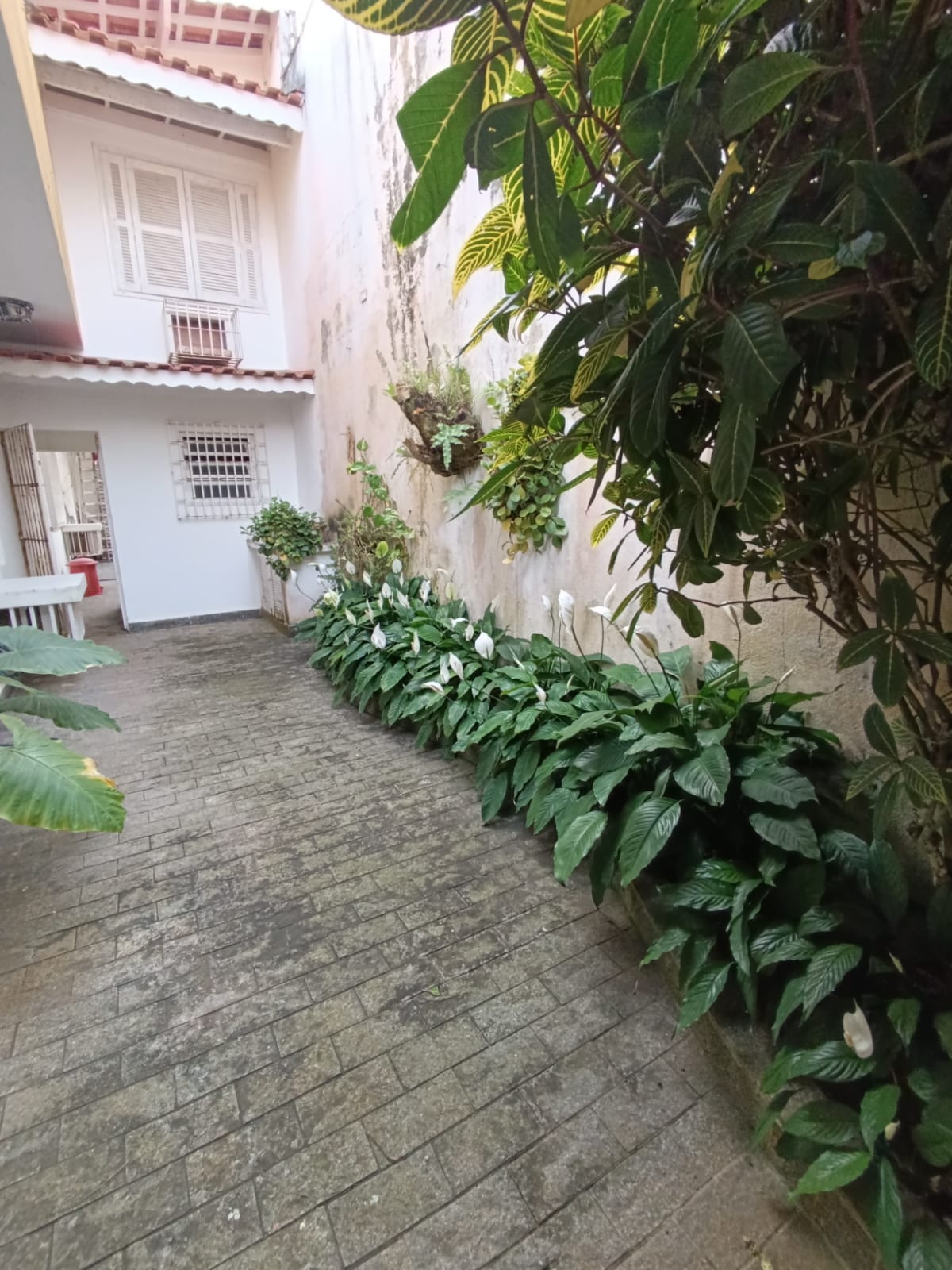 NÃO PERCA ESTA OPORTUNIDADE!!! CASA DE NOVELA PARA VENDA COM 05 DORMITORIOS NO JD SURÃO A 30 METROS DO MAR EM ITANHAÉM/S