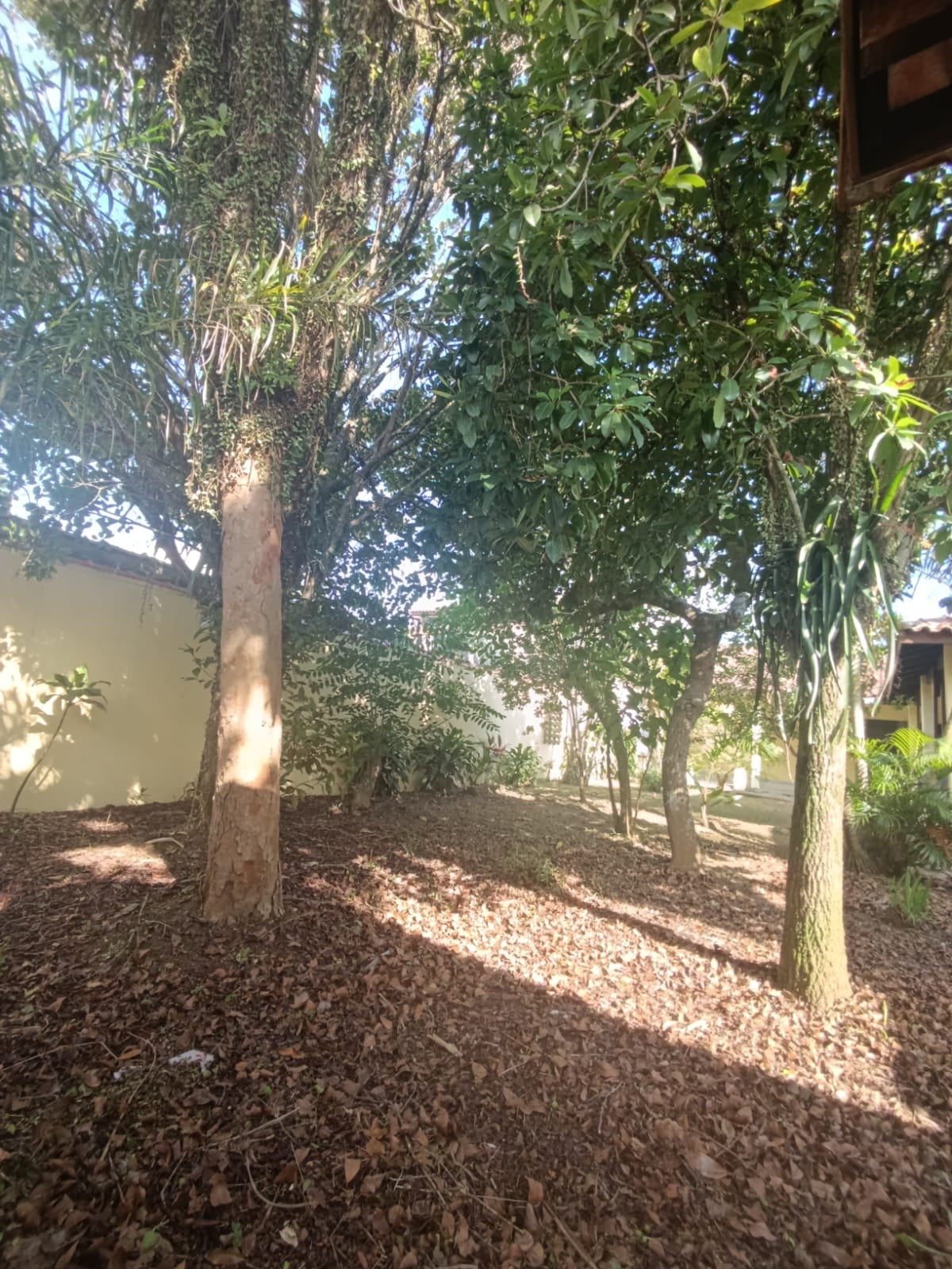 CAS261305 Edícula a 200 metros da praia em Itanhaém com 10 vagas de garagem