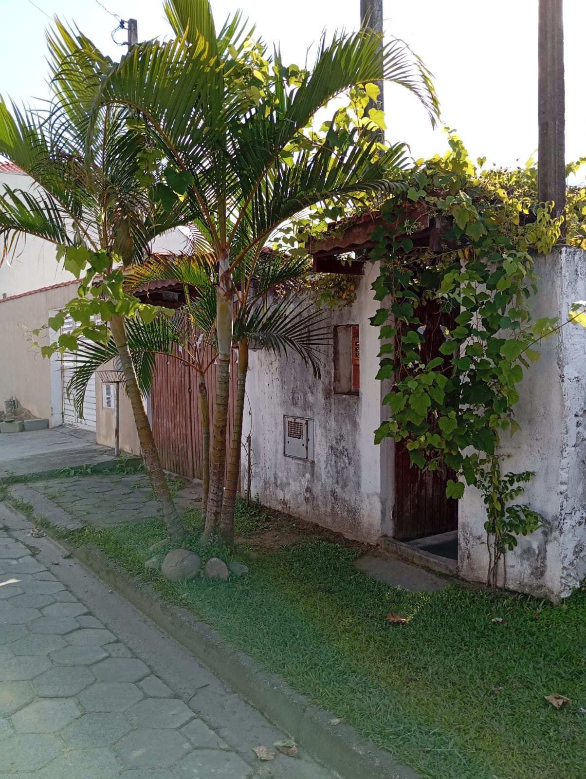 More com Praticidade: Casa com Suíte e Amplo Quintal em Travessa Comercial.