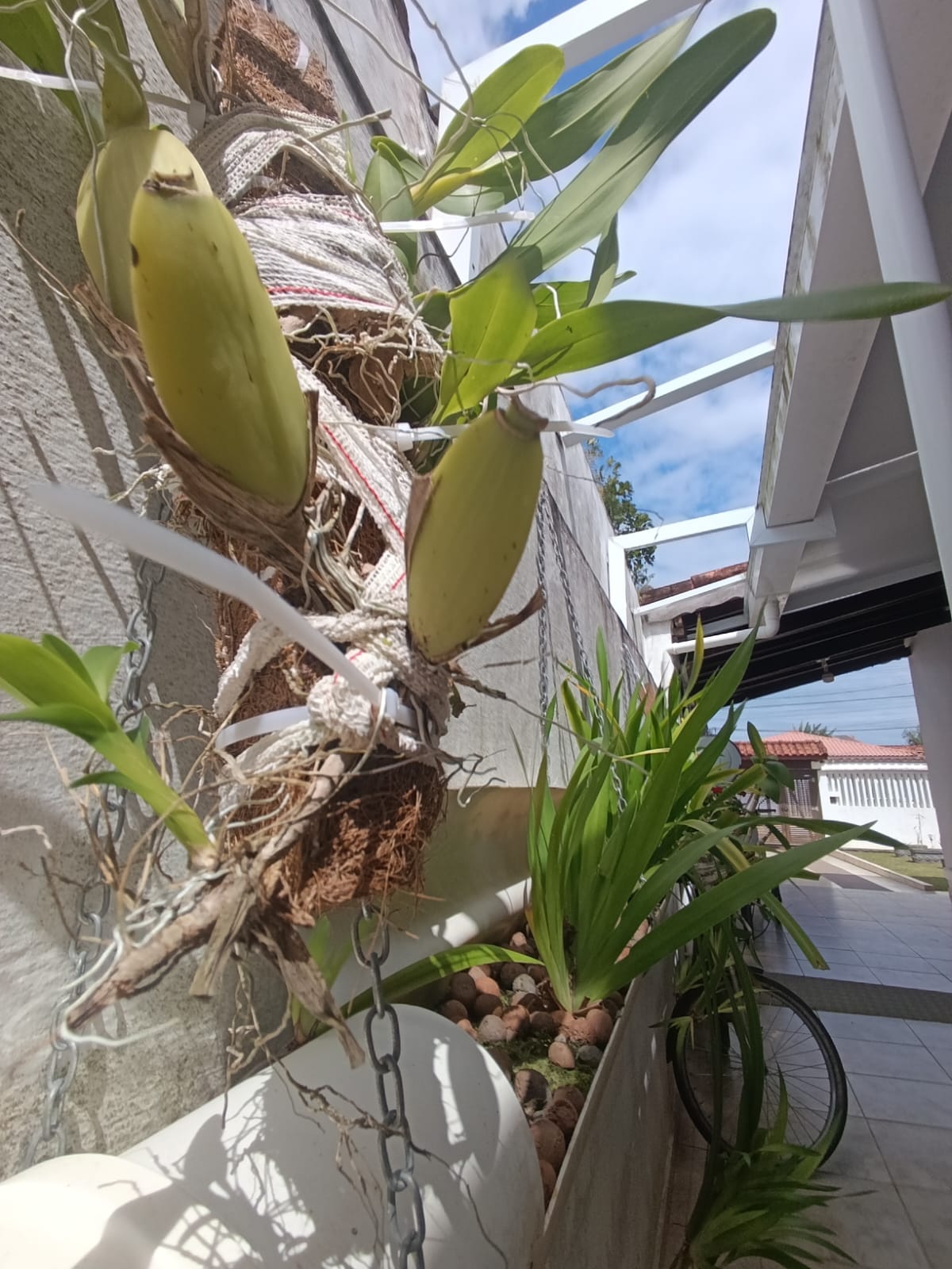 CAS261296 Casa no Suarão Itanhaém com energia solar e 3 dormitórios a 300m da praia