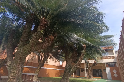 CAS261315 Sobrado de 3 andares em Itanhaém com 3 dormitórios e solarium 360 graus