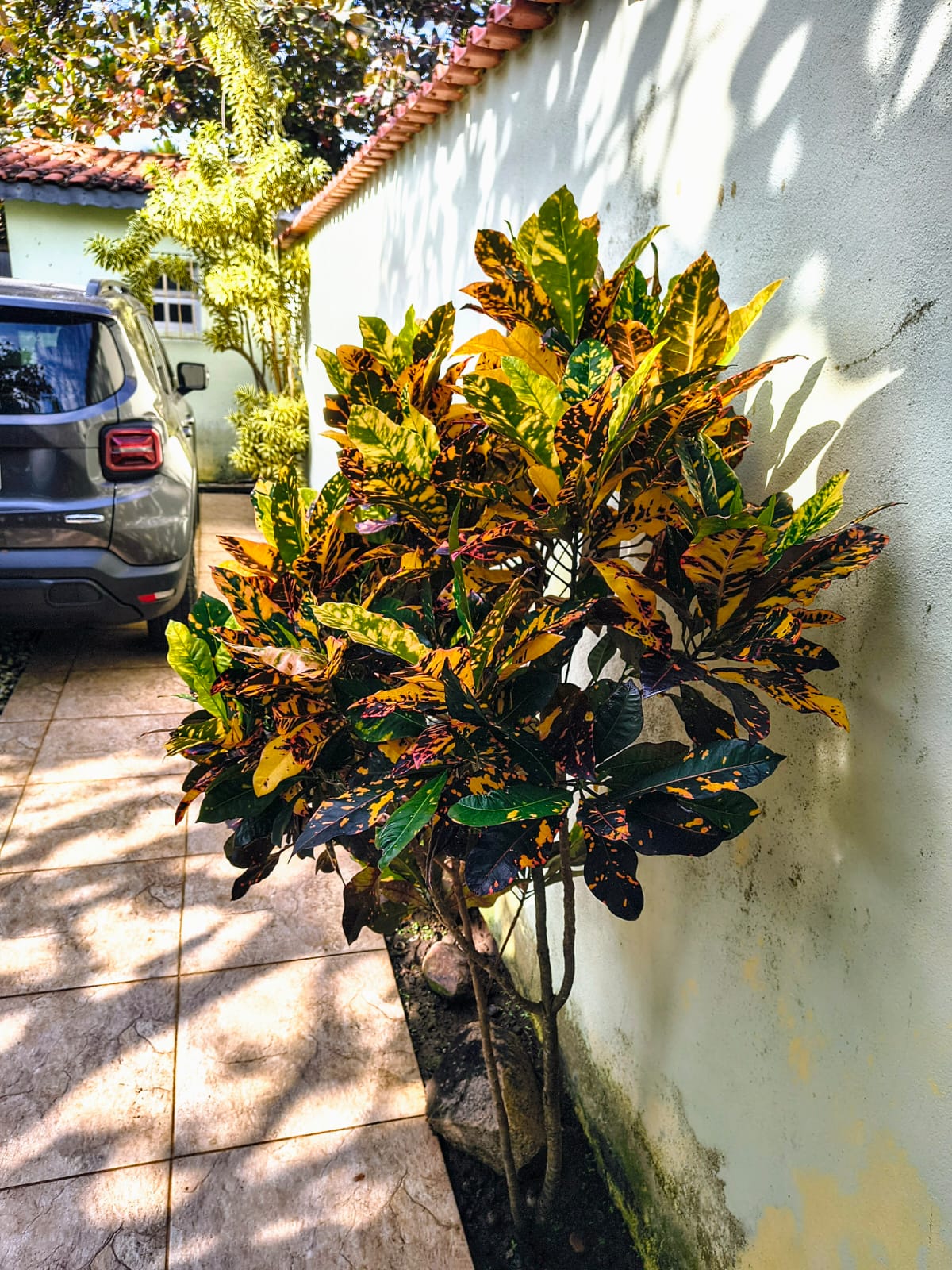 CAS261397 Casa Reformada no Satélite Itanhaém – 02 Dormitórios a 70m da Praia