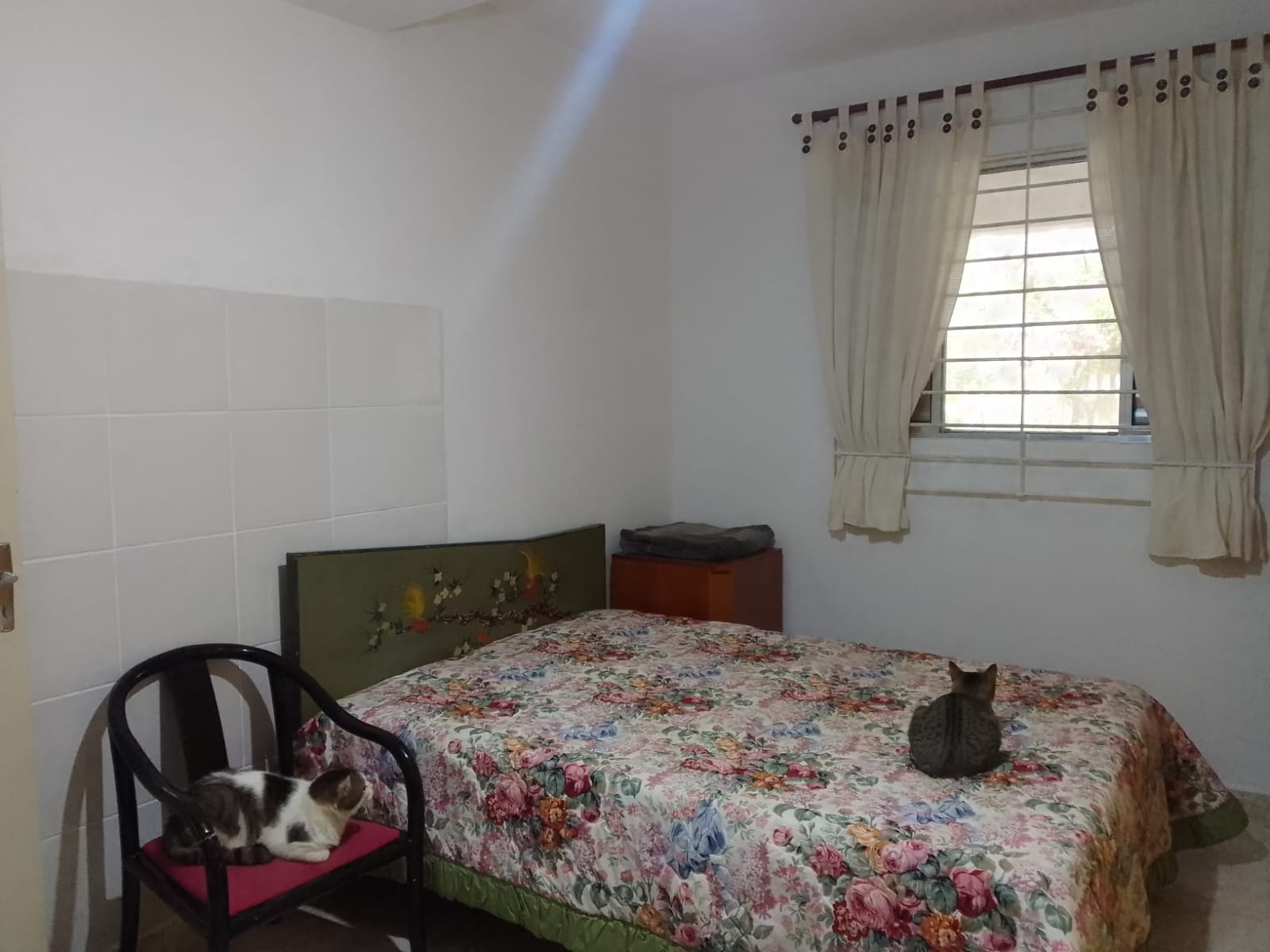 CAS261398 Casa de Terreno Inteiro em Itanhaém – 02 Dormitórios e Quintal Amplo
