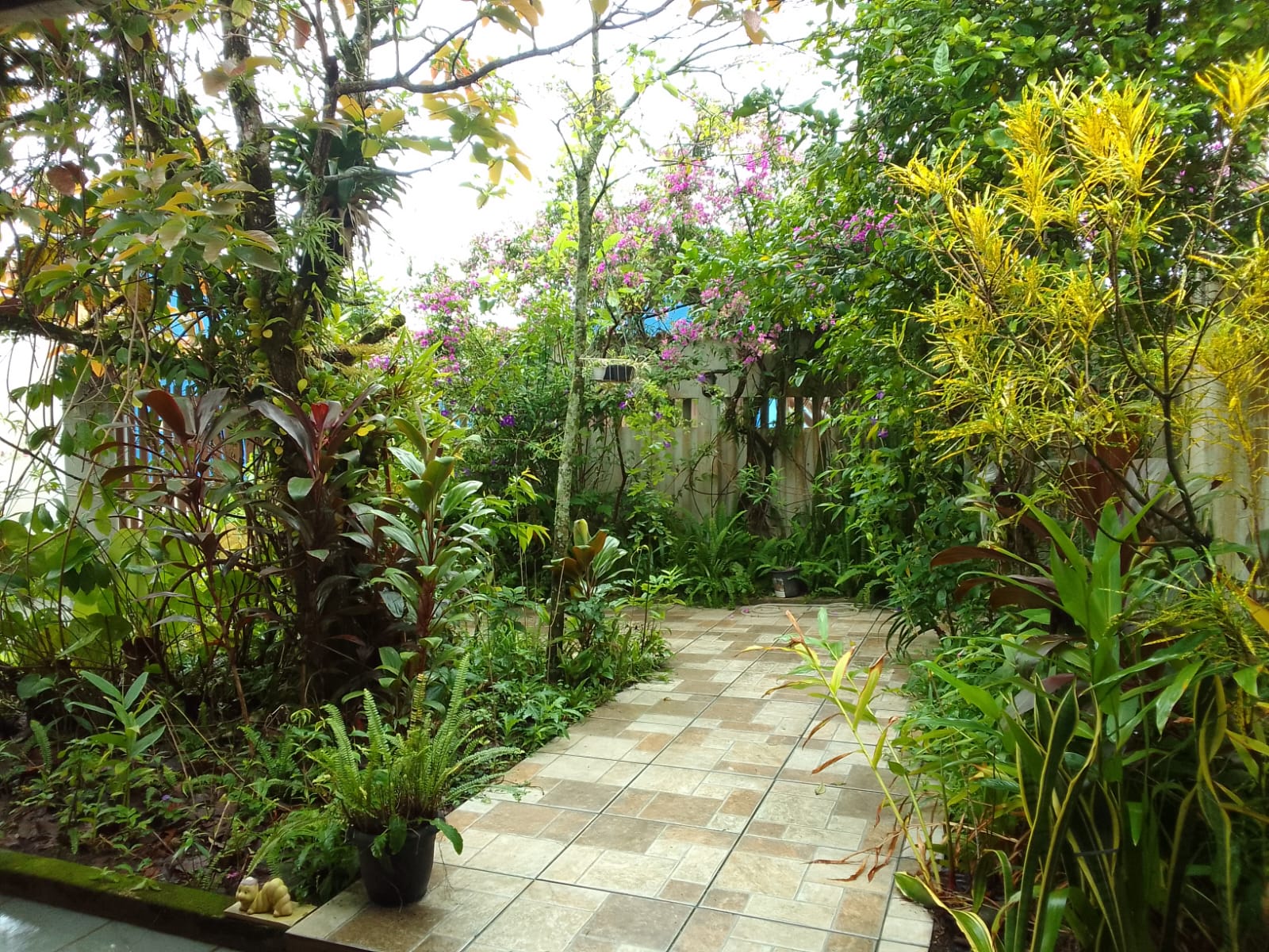 CAS261398 Casa de Terreno Inteiro em Itanhaém – 02 Dormitórios e Quintal Amplo